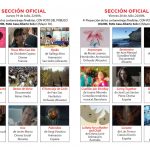 programa festival cine11